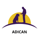 Página web casillas (24)